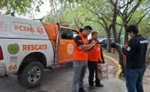 Protección Civil Nuevo León rescata a familia de patos en Monterrey