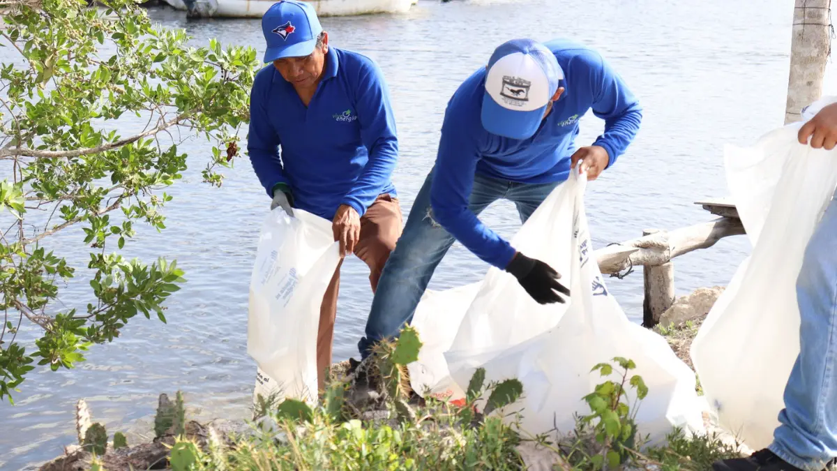 Esta jornada es parte del programa “Saneamiento de Playas y Manglares” Foto: Gobierno de Yucatán