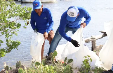 Limpieza en los manglares de Dzilam de Bravo; retiran más de 400 kilos de basura