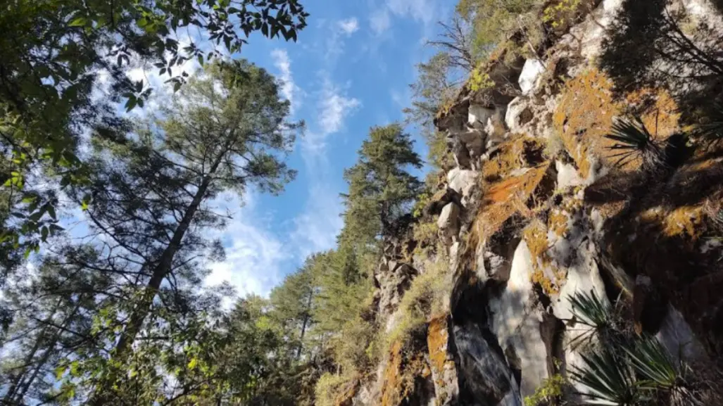 Este es el bosque en Edomex en donde encontraras cascadas ocultas en la naturaleza