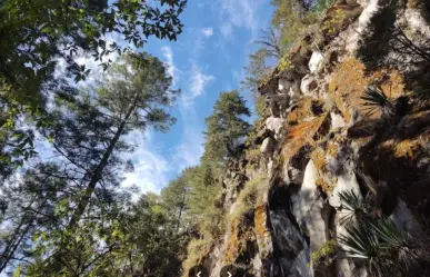 Este es el bosque en Edomex en donde encontraras cascadas ocultas en la naturaleza