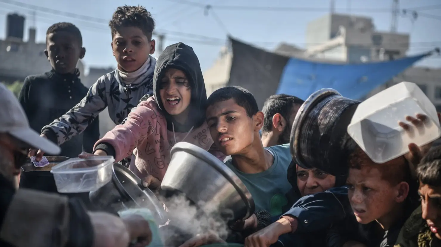 México se suma a exhorto de la ONU ante crisis humanitaria en Gaza. Foto: PNUD