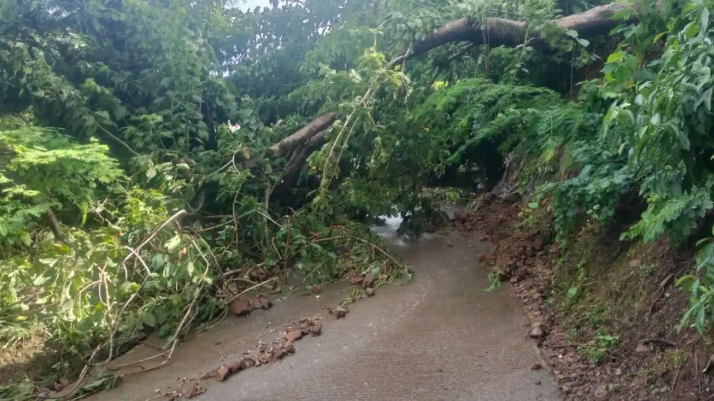 Comunidad de Tlatlaya pide ayuda tras afectaciones por intensas lluvias en el Edomex