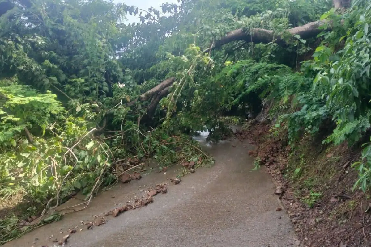Afectaciones en caminos a comunidades de Tlatlaya, Edomex. Foto: FB (Rancho viejo Tlatlaya estado de México ll live)