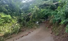 Comunidad de Tlatlaya pide ayuda tras afectaciones por intensas lluvias en el Edomex