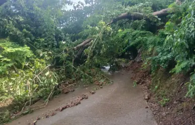 Comunidad de Tlatlaya pide ayuda tras afectaciones por intensas lluvias en el Edomex