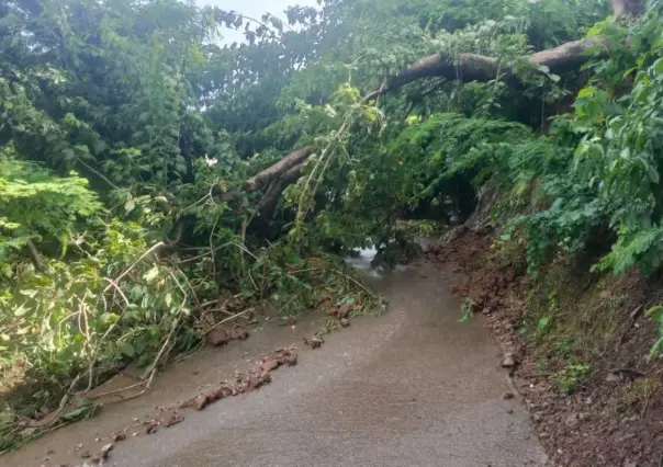 Comunidad de Tlatlaya pide ayuda tras afectaciones por intensas lluvias en el Edomex