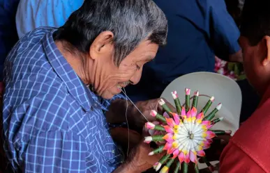 Adultos mayores no deben ser desplazados en la familia, genera deterioro de salud, asegura experto
