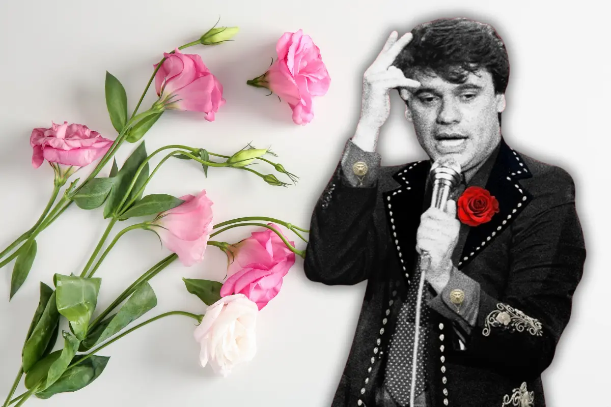 Juan Gabriel (Foto: FB, Juan Gabriel / Canva)