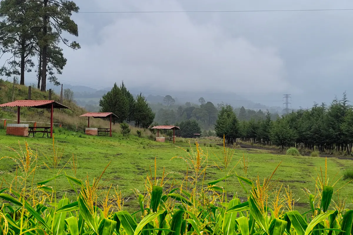 Elote en Parque Ecoturístico Las Maravillas. Foto: Canva
