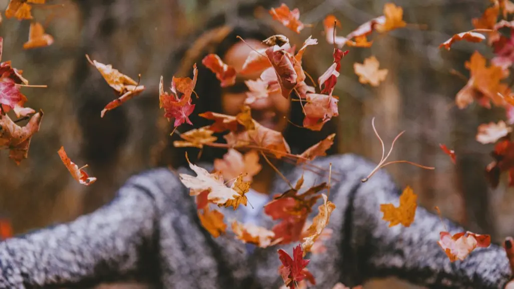 ¡Otoño a la vista! ¿Cuándo empieza y cómo afectará las temperaturas en Nuevo León?