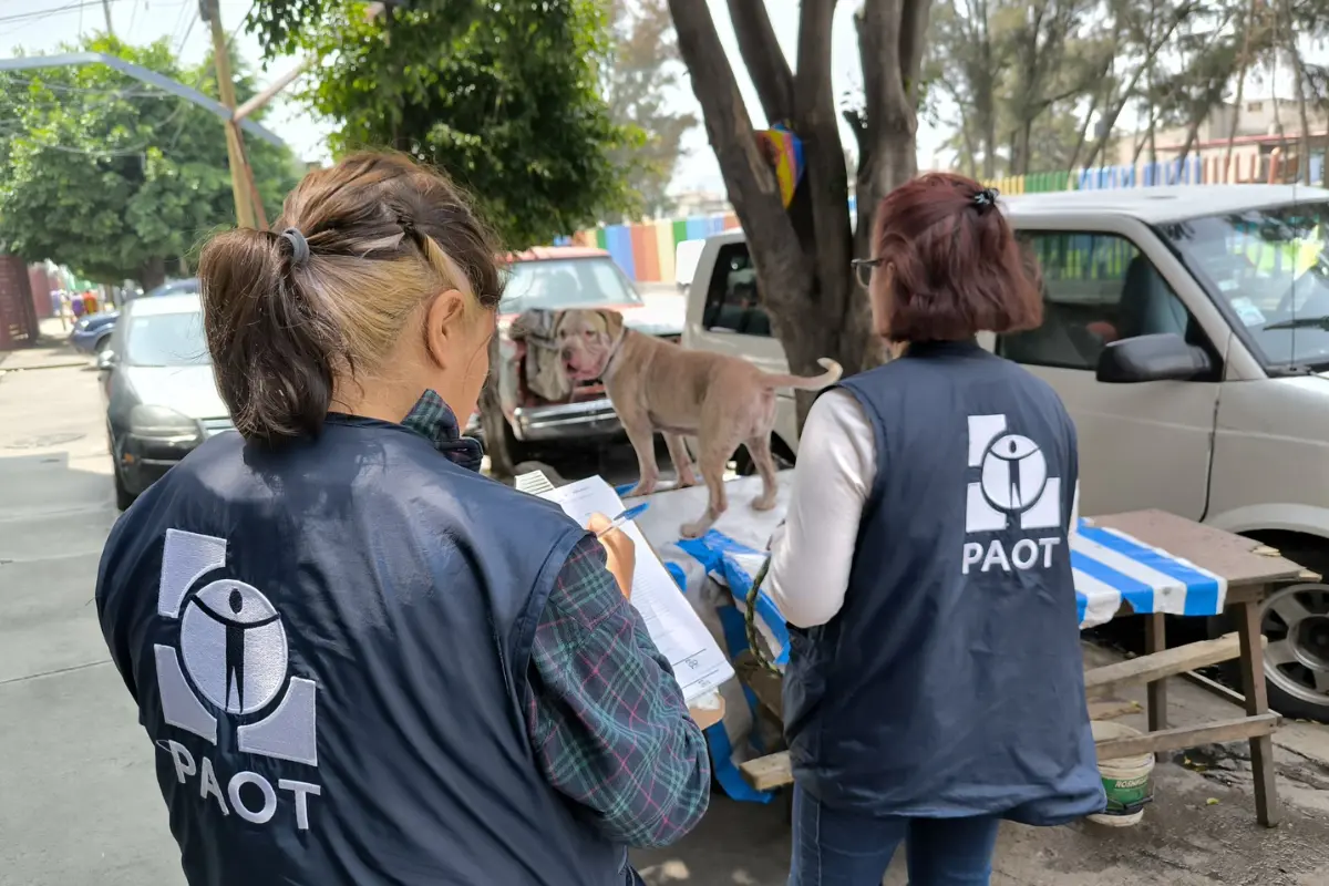 Personal de la PAOT rescatando a perrito. Foto: X @PAOTmx