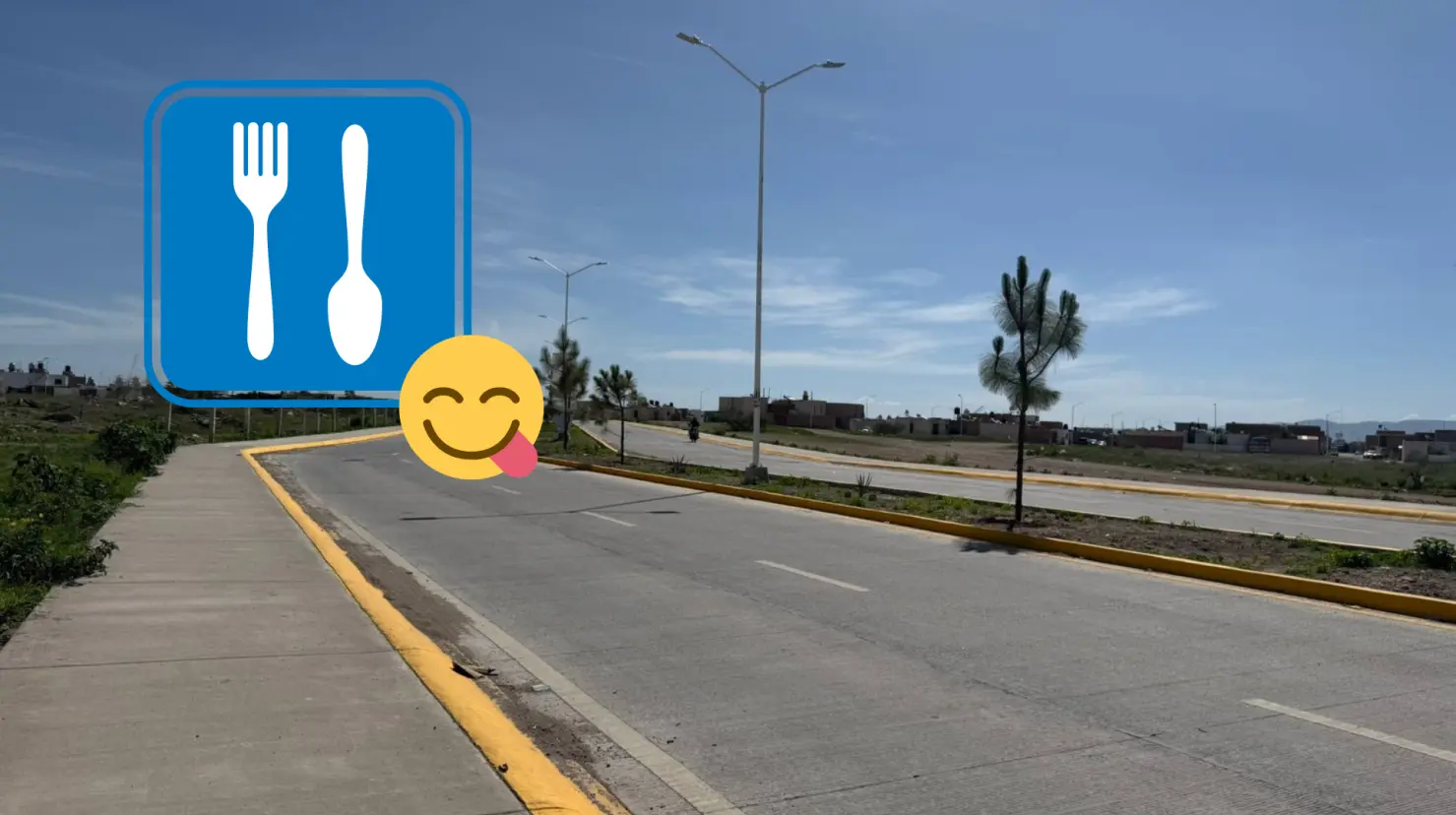 En este bulevar de Durango abundan los comercios en donde venden tamales. Foto: Especial.