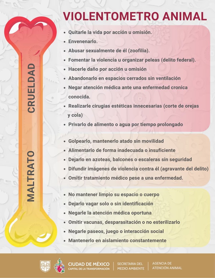 imagen-cuerpo imagen-cuerpo