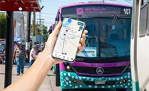 Así puedes seguir en tiempo real los camiones del Tiburón Urbano en La Paz
