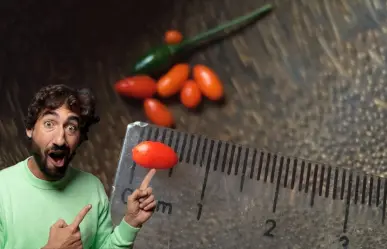 Este es el chile más pequeño del mundo y solo crece en la Península de Yucatán