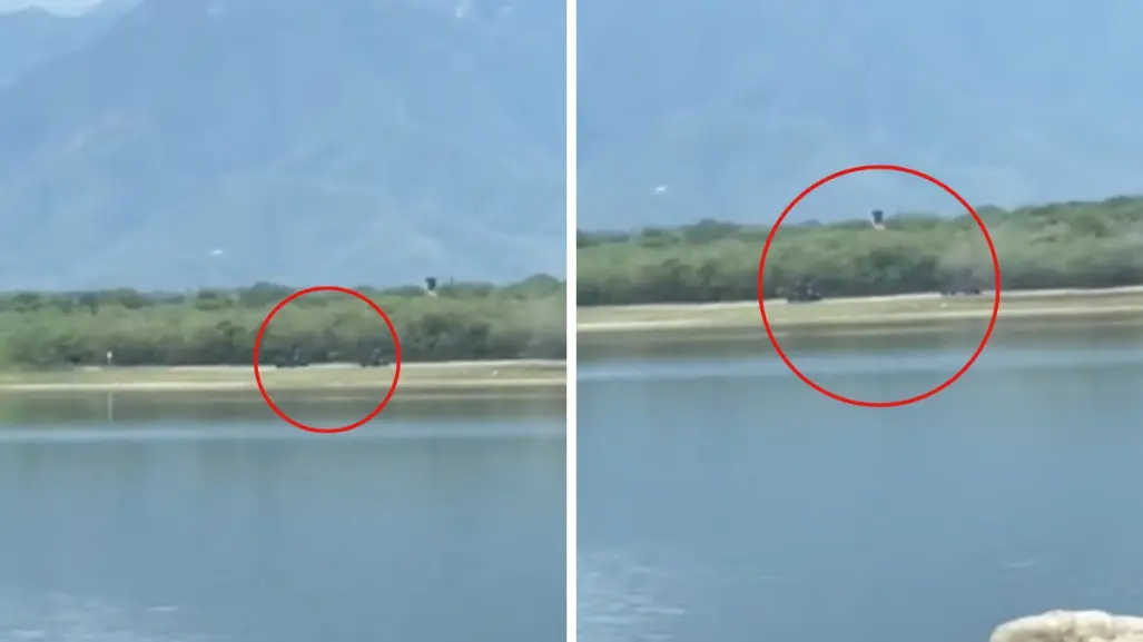 Jóvenes graban el momento exacto de tiroteo en presa de Linares I VIDEO