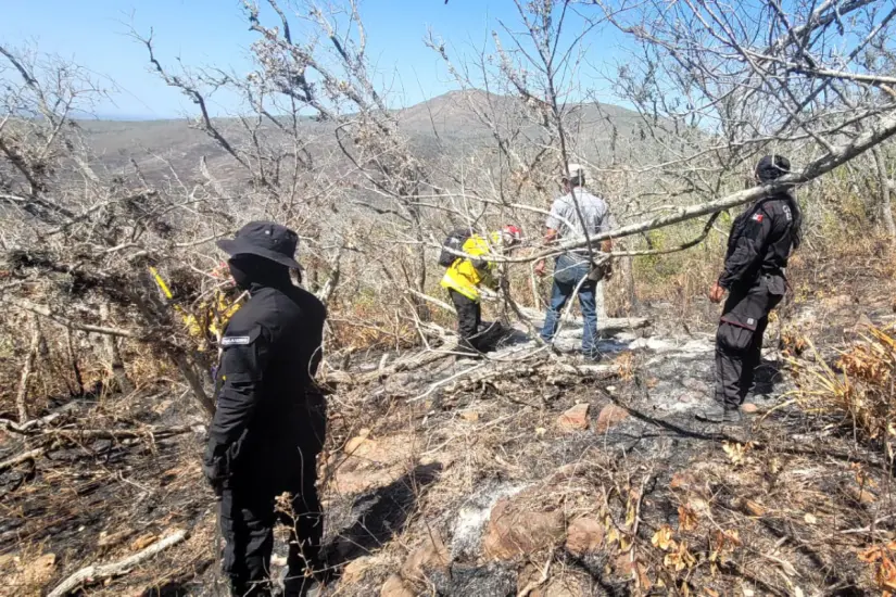 Brigadistas para el combate de incendios forestales en Tamaulipas. Foto: Ramón Sánchez