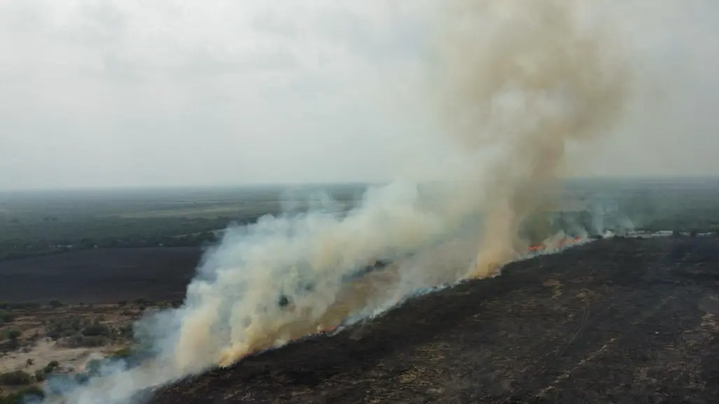 ¿Cuántos incendios forestales se han registrado en Tamaulipas este 2025?