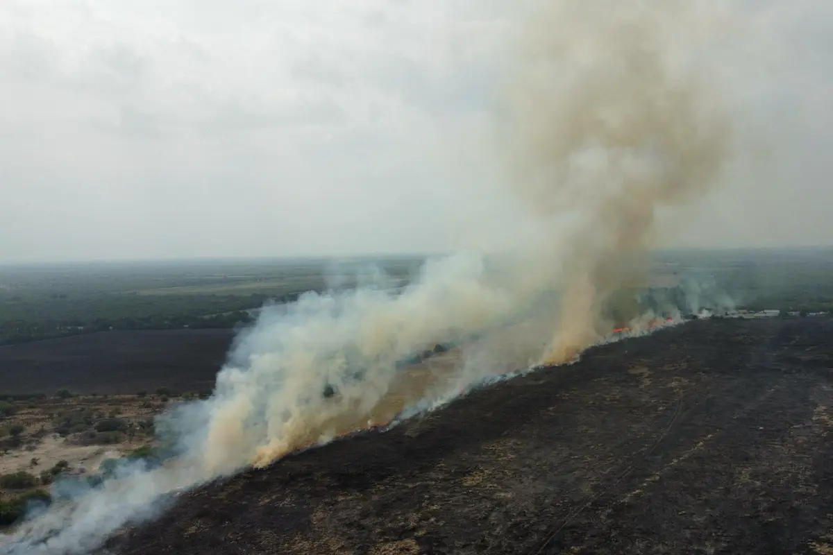 La superficie siniestrada en la temporada de incendios 2025 es menor a la del año pasado, de acuerdo a Protección Civil. Foto: Ramón Sánchez