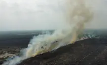 ¿Cuántos incendios forestales se han registrado en Tamaulipas este 2025?