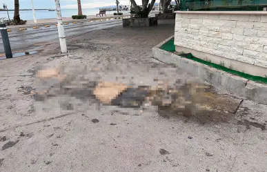 Se derrama materia fecal en Parque Cuauhtémoc, en el Malecón de La Paz