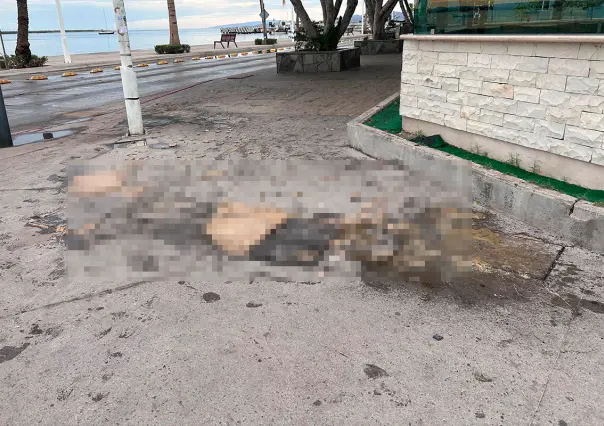 Se derrama materia fecal en Parque Cuauhtémoc, en el Malecón de La Paz