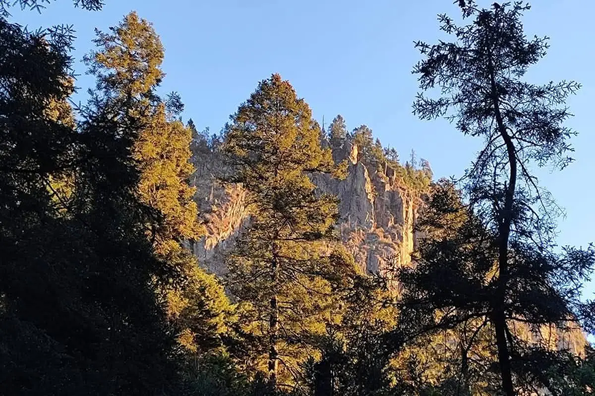 Montaña La Coconetla en CDMX. Foto: @Conéctate| Canva