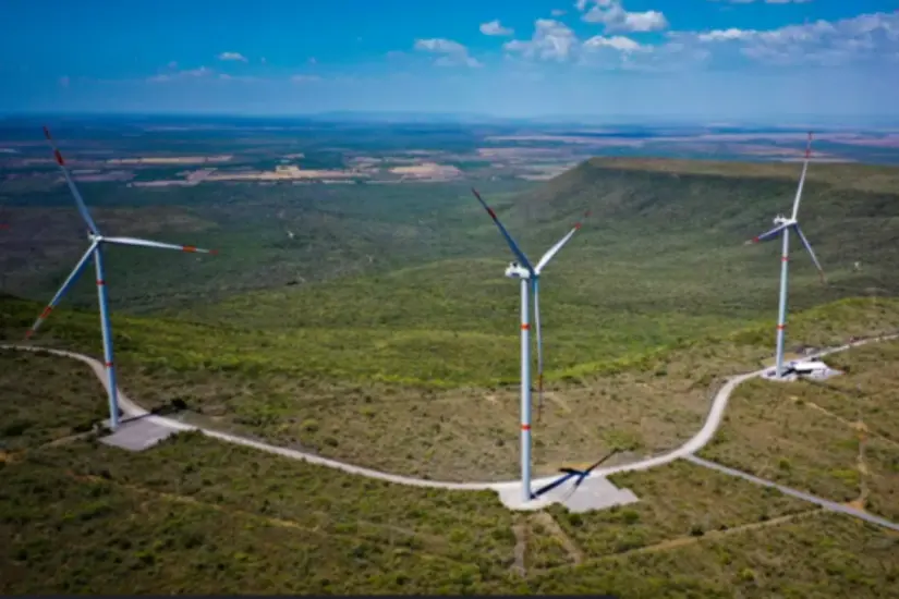 Parque eólico ubicado en Tamaulipas. Foto: Victoria Jiménez