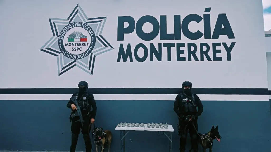 Policías de Monterrey aseguran mariguana abandonada en operativo