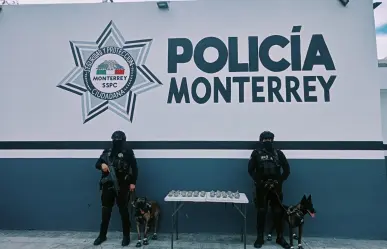 Policías de Monterrey aseguran mariguana abandonada en operativo