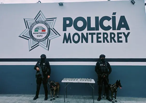 Policías de Monterrey aseguran mariguana abandonada en operativo