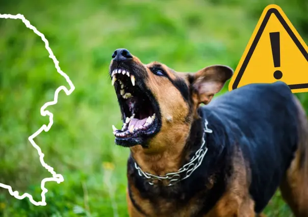 Alerta en Coahuila por rabia humana tras trágico caso en Zacatecas 