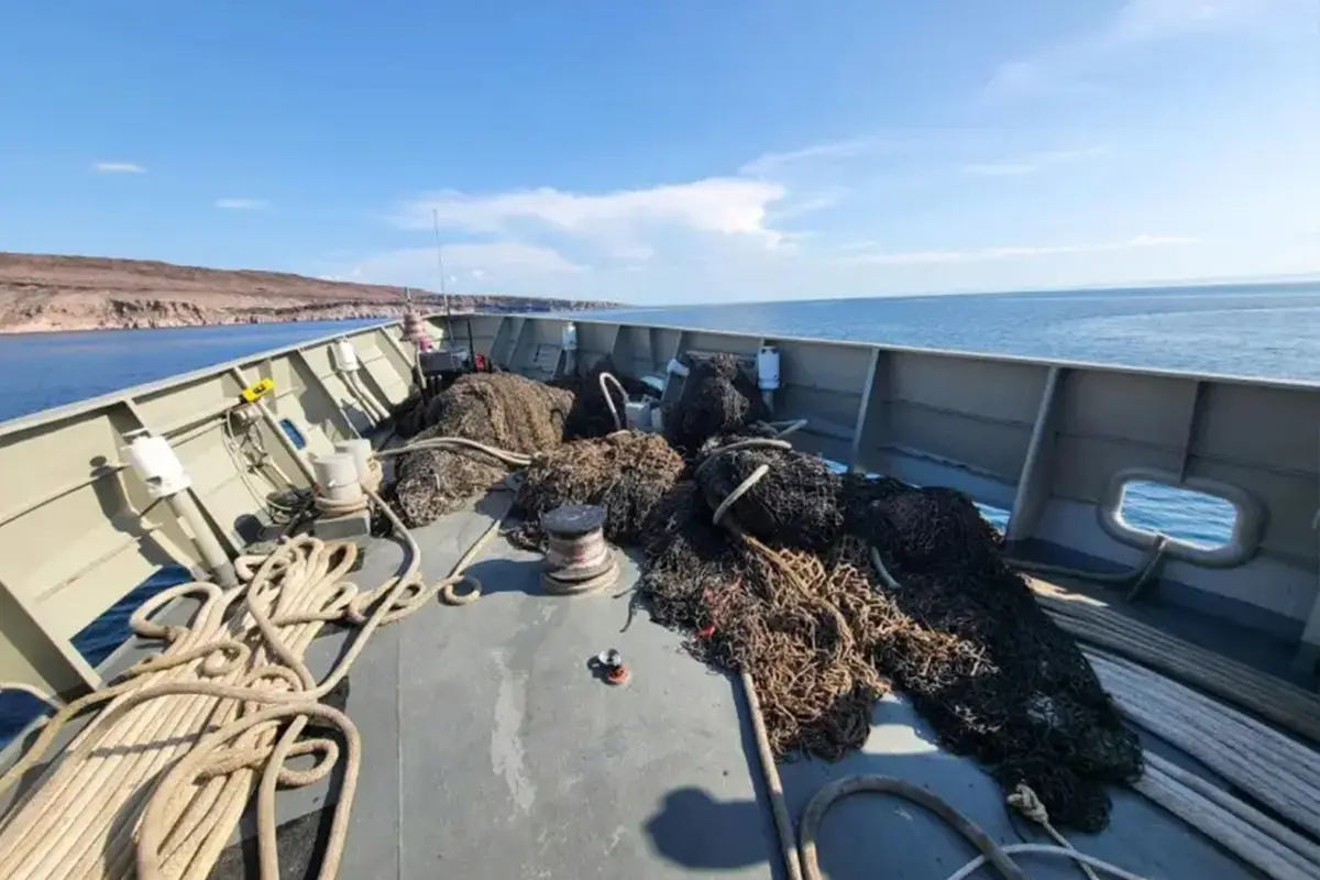 Las redes fantasma son un grave peligro para la biodiversidad marina en el Golfo de California. Foto: Cuarta Zona Naval.