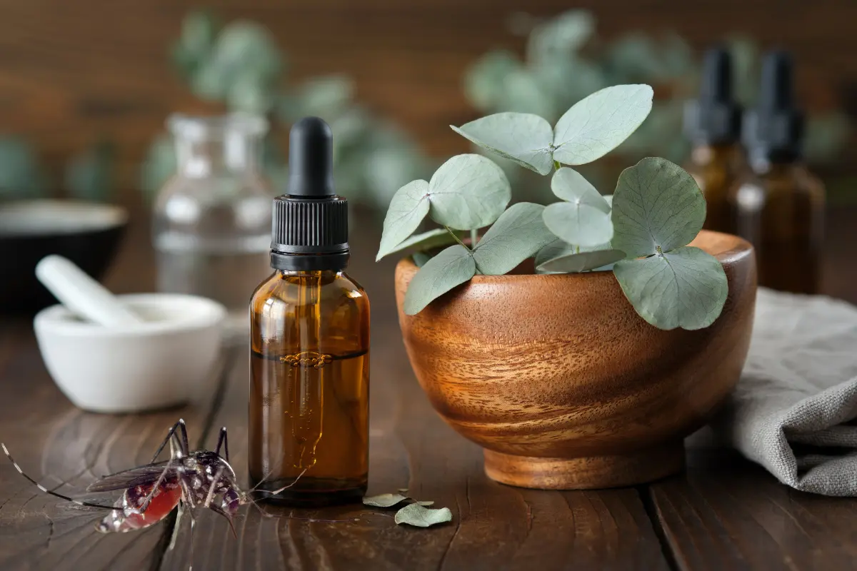 El repelente natural y económico para ahuyentar mosquitos en casa se hace de forma sencilla. Foto: Canva