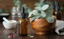 Repelente natural y económico para ahuyentar mosquitos en casa