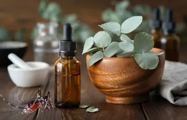 Repelente natural y económico para ahuyentar mosquitos en casa