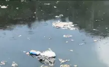 VIDEO | Presa Río Becerra en Álvaro Obregón luce contaminada a menos de dos meses de limpieza