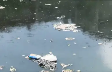 VIDEO | Presa Río Becerra en Álvaro Obregón luce contaminada a menos de dos meses de limpieza