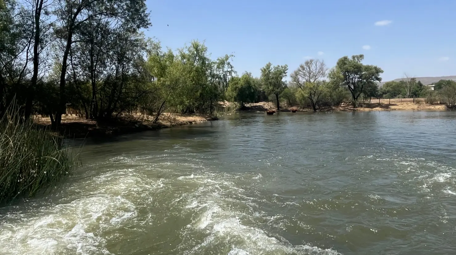 Río Tunal, tramo posterior a la Presa Guadalupe Victoria, Durango | Foto: Alejandro Ávila