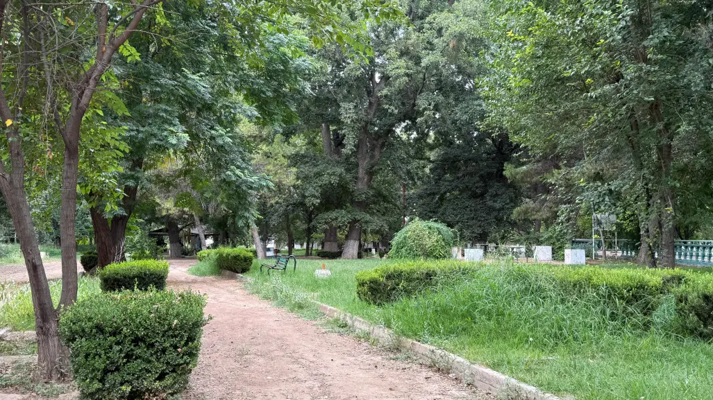 El Paraíso en el abandono: deterioro y olvido en un parque ecológico de Saltillo