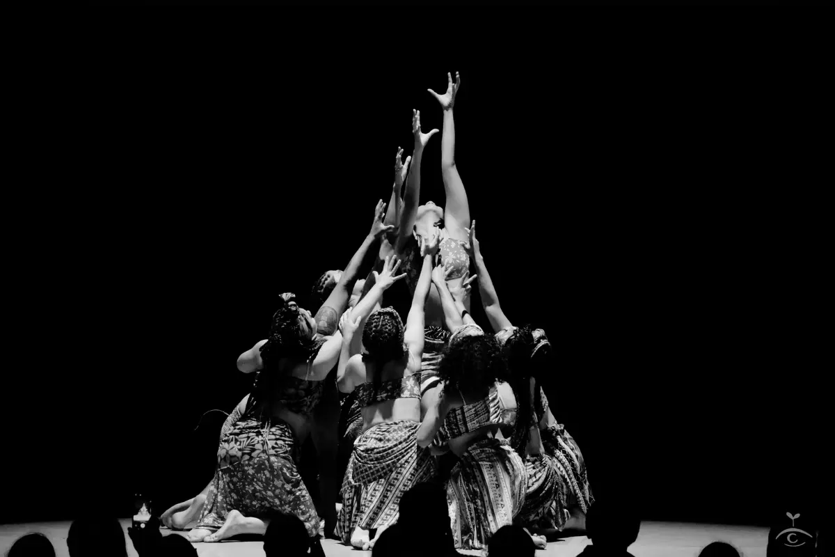 Presentación artística. Foto: X (@bellasartesinba)