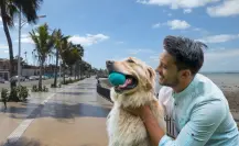 Habrá nuevas reglas para mascotas en el malecón de La Paz
