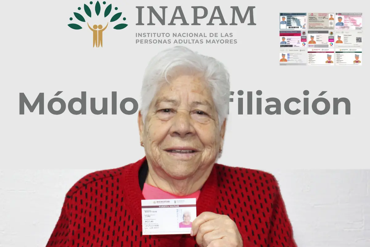 Existen nueve diseños de tarjetas INAPAM, todas son válidas si están en buen estado. Foto: INAPAM