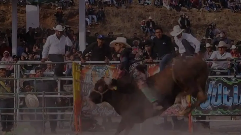 Buscan prohibir jaripeos con maltrato animal en Toluca; piden no normalizar violencia como tradición