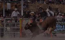 Buscan prohibir jaripeos con maltrato animal en Toluca; piden no normalizar violencia como tradición