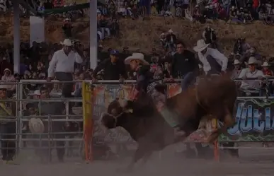 Buscan prohibir jaripeos con maltrato animal en Toluca; piden no normalizar violencia como tradición