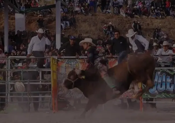 Buscan prohibir jaripeos con maltrato animal en Toluca; piden no normalizar violencia como tradición