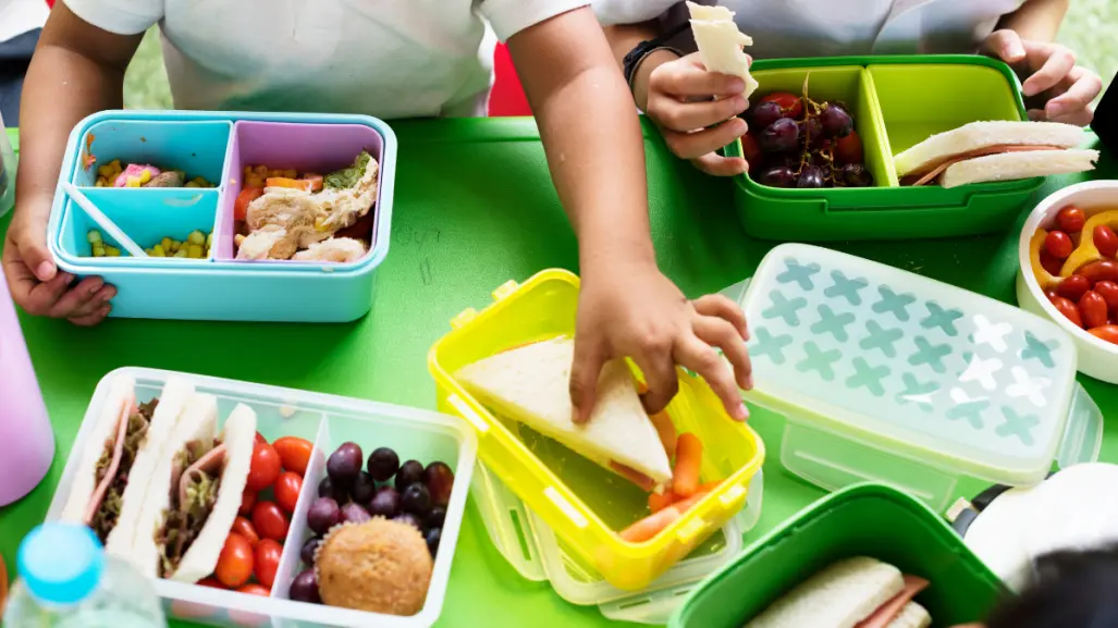 ¿Lonches saludables para el regreso a clases en Nuevo León? Aquí te damos algunos consejos