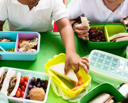 ¿Lonches saludables para el regreso a clases en Nuevo León? Aquí te damos algunos consejos